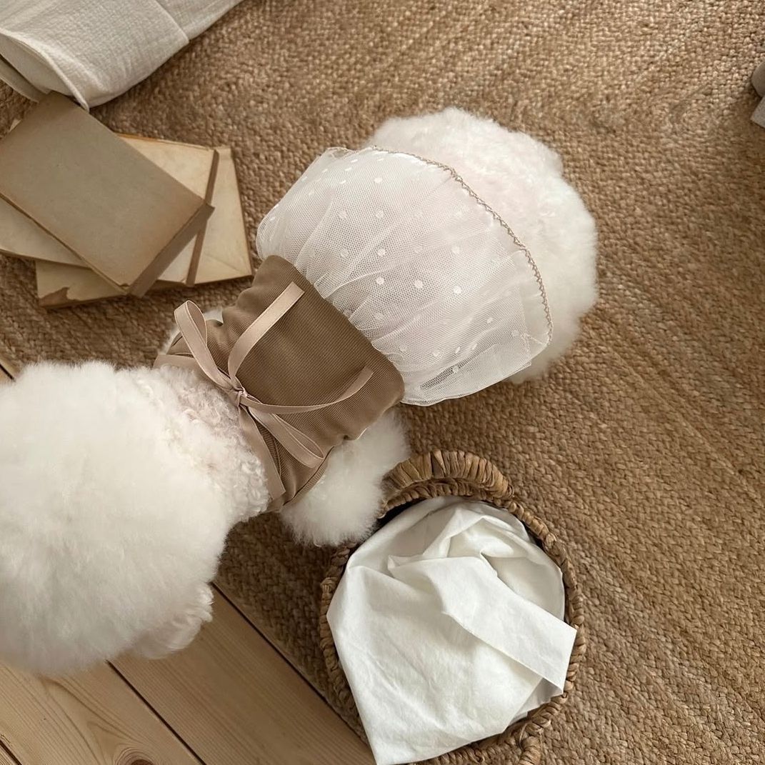 Wiosenna i letnia koronkowa su – Lace Teddy Lingerie recenzja i cena